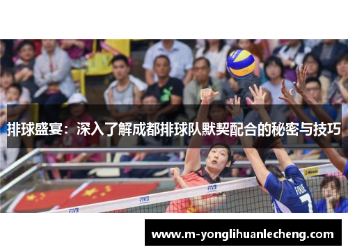 排球盛宴：深入了解成都排球队默契配合的秘密与技巧